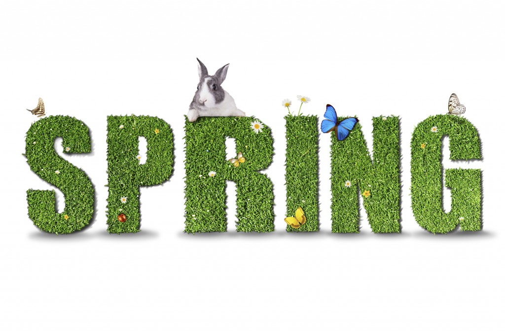 Happy Spring from Florida Lung, Asthma, and Sleep Specialists. 