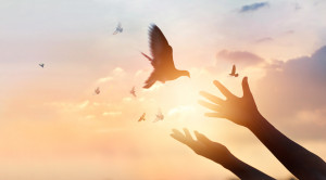 Bird and Sunrise Symbolize a New Mind Set for Treating Mesothelioma.