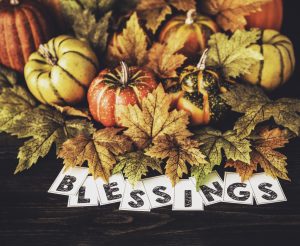 Thanksgiving Blessings come your way. 