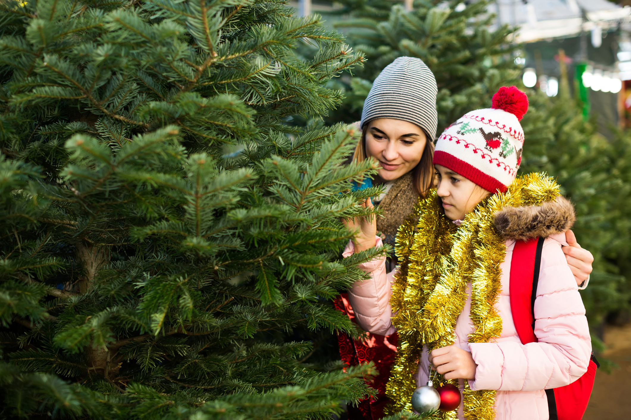 mother and daughter staying at market among Christmas trees. - Florida ...