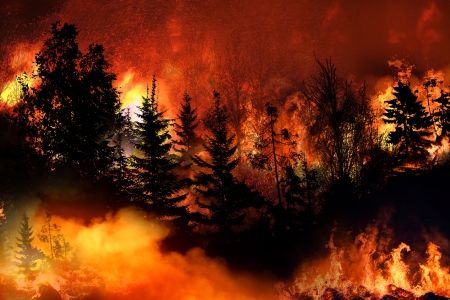 Wildfires Triggering Lung Problems: This is of Special Concern to Those Living in States Which Traditionally Incur These Conditions on an Annual Basis.